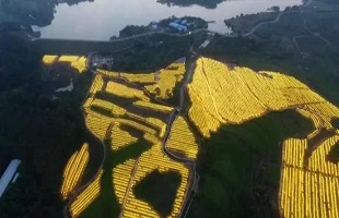 从贫困山乡到3A级景区的“逆袭”