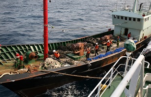 绍兴破获多起非法捕捞水产品案