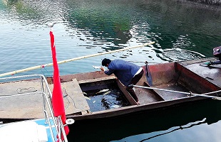 长江禁渔，为何还有禁而不止的现象