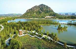 5月全国“12369”环保举报办理情况公布 重庆、江苏、广东举报量居前列