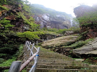 莽山