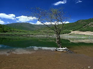 北山国家森林公园