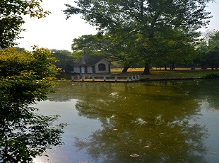 共青国家森林公园