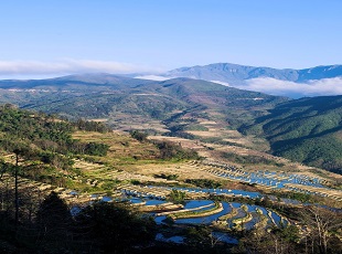 元阳哈尼梯田