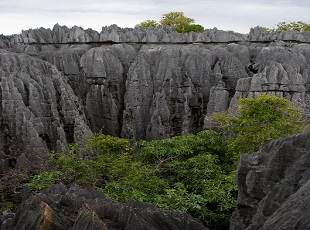 石林风景区