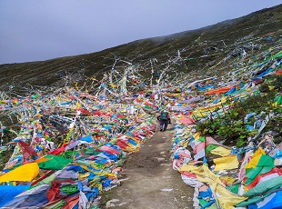 苯日神山景区