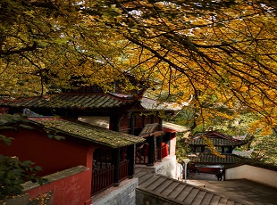 青城山都江堰风景名胜区