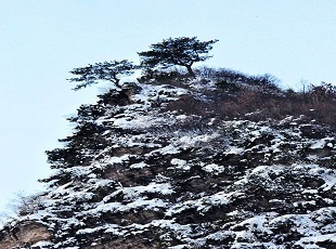 崎峰山国家森林公园