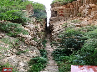 八仙山国家级自然保护区