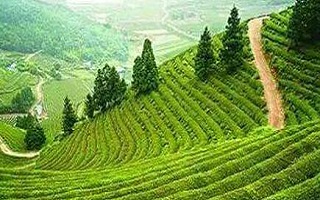 文旅融合写出脱贫大文章