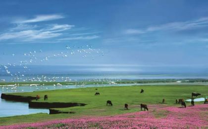 首批中国生态旅游十大示范景区之鄱阳湖国家湿地公园
