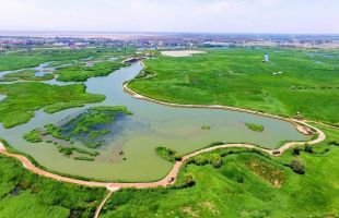 各地湿地公园达1600余处 中国湿地生态状况持续改善