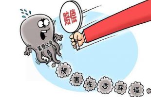 徐州首例涉气生态环境损害赔偿逾百旺万