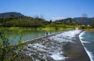 两部门：遴选有条件的地区开展农村黑臭水体治理试点