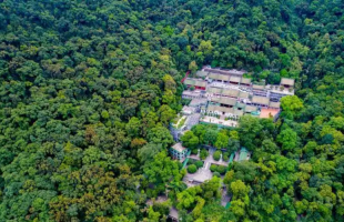 广东今年以来完成造林与生态修复逾74万亩