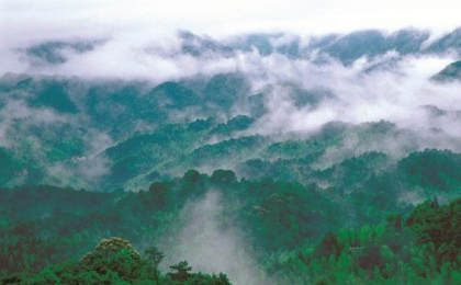 广东绿色版图不断扩大 森林覆盖率升至58.7%