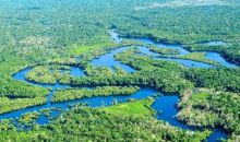 巴西：森林砍伐面积创新高 亚马孙地区试点生态旅游保护环境