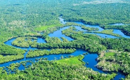 巴西：森林砍伐面积创新高 亚马孙地区试点生态旅游保护环境