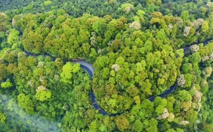 河北：2025年将创建省级森林乡村750个