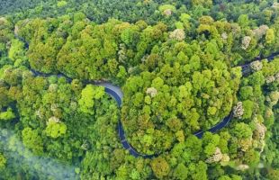 河北：2025年将创建省级森林乡村750个