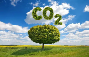 碳讯周报（2022年4月11日-4月17日）丨发改委：推进“双碳”领域项目仍有较大投资空间；国家能源局：我国加氢站数量位居世界第一