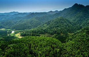 《辽宁省林业有害生物防治条例》今年10月起施行