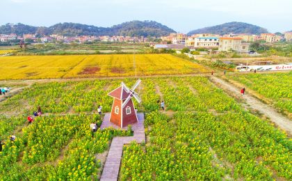 农业农村部公布中国美丽休闲乡村名单(255个)