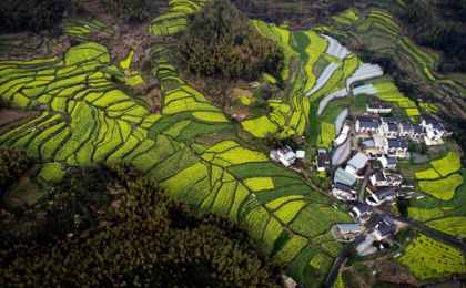 中国社会科学院包晓斌：以绿色发展推动农业现代化