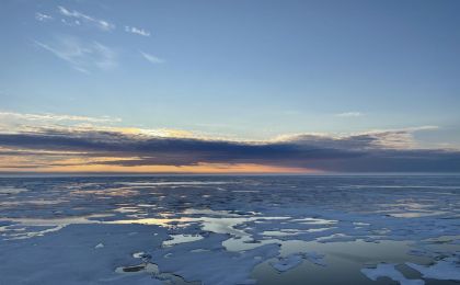 北极近五年呈现加速“绿化”态势