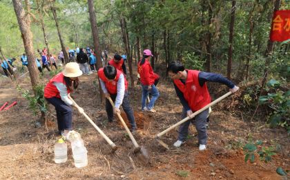 学雷锋践初心，这些环保志愿者开展植树活动，助力“绿美东莞”建设