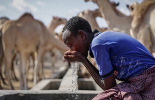 联合国：非洲1.9亿儿童正面临与水资源有关的三重威胁