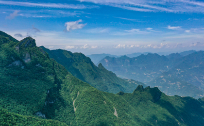 重庆阴条岭国家级自然保护区调查发现74种重点保护野生植物