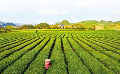 【观察】科技助力 激活自然资源匮乏乡村振兴“芯”动力