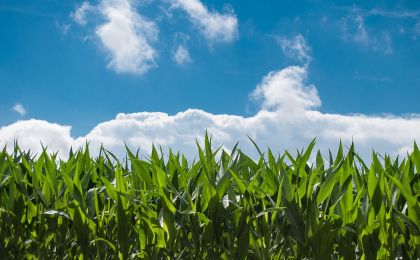 坚持绿色发展 我国农用化肥使用量连续6年下降