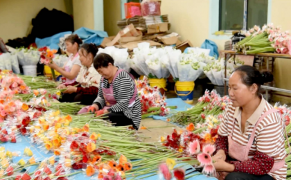 黔西市谷里镇：“鲜花经济”为乡村振兴增资添彩 