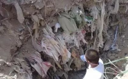 300亩耕地变垃圾场，村民被监视殴打，镇领导当众抢手机要求删视频！