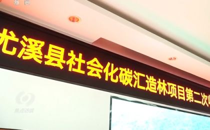 《焦点访谈》 ：深化林改 山美民富