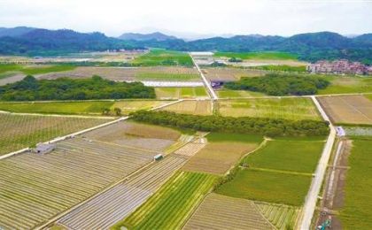 自然资源部：提升自然资源领域服务 保障乡村振兴用地能力