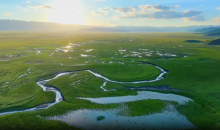 世界湿地日：湿地与人类福祉