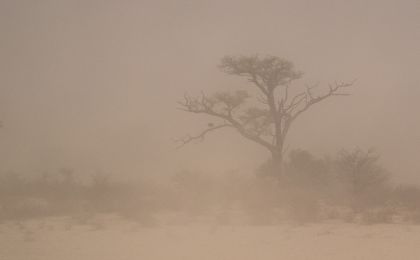 今春首次跨境传输型沙尘天气来袭 影响波及北方13省区市