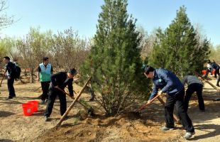 全国绿化委：春季植树造林展开，义务植树尽责形式有八大类
