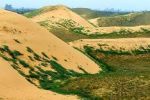 建设国家沙漠公园 实现生态与经济共赢 
