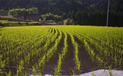 如何推动农业实现从碳源到碳汇的转变？