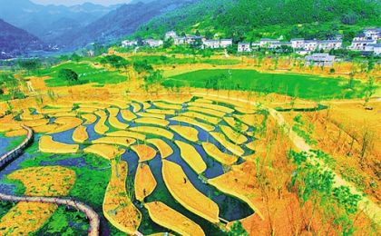 生态修复不能“一招走天下”