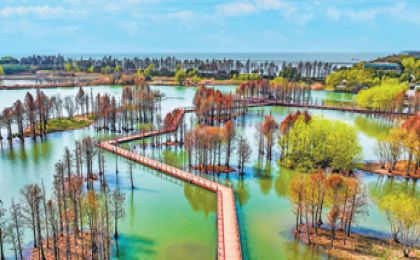 800多万立方米太湖淤泥，如何再利用？