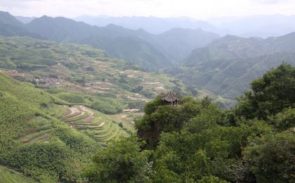 浙江（丽水）生态产品交易平台林业碳汇交易破千宗