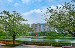 成都2025年大气污染防治工作行动方案来了