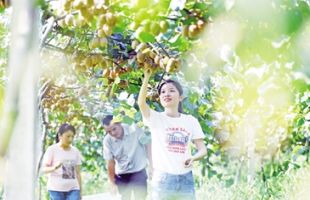 江西奉新：在绿水青山间收获幸福