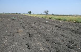 盗挖黑土、泥炭土……最高法发布破坏黑土地资源典型案例