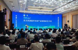 武汉绿色环保产业营收破千亿元，资源循环利用产业联盟成立